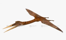 羽蛇神翼龙 Quetzalcoatlus 0