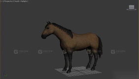 马 Horse 21
