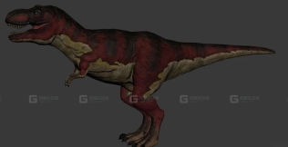 T - Rex - 霸王龙