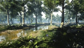 【UE】3D扫描、照片级写实森林景观资产包 第二卷  3D-Scanned, Photo-Realistic Forest Landscape Asset Pack Vol. 2