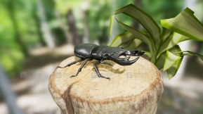 【UE】昆虫包  Insect Pack