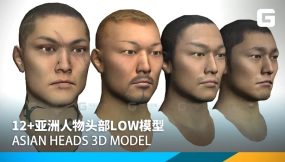 12+亚洲人物头部low模型 Asian Heads 3D model