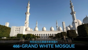 466张阿拉伯大白清真寺参考图片 