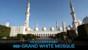 466张阿拉伯大白清真寺参考图片 
