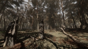 【UE】松树林基于摄影测量的高模生物群落  Pine forest - Photogrammetry based High poly Biome