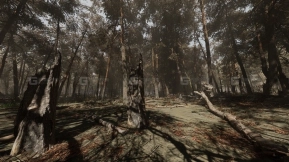 【UE】松树林基于摄影测量的高模生物群落  Pine forest - Photogrammetry based High poly Biome