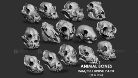 动物骨骼收藏IMMStlObj笔刷包14合1第3卷 Animal Bones Collection IMMStlObj Brush Pack 14 in One Vol.3