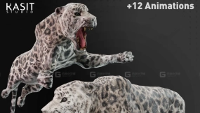 雪豹动画绑定  Snow Leopard Animted Riged