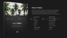 棕榈树贴图素材  Palm Trees