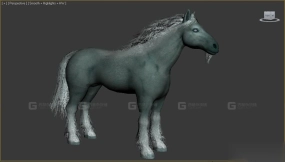 白马 White horse 37