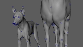 Kangaroo Builder for Maya现已支持拓扑结构传输功能