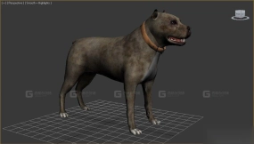 护卫犬 Guard Dog 14