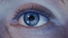 【UE5.4-5.6】MetaHuman动画闪烁插件 ZenBlink For Metahuman Animation Plugin