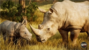 【UE】动物王国 - 白犀牛（群组）  Animalia - White Rhinoceros (pack)
