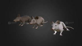 【UE5.1+】老鼠 Mouse