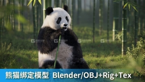 熊猫动画3D模型 VFX Grace – Panda Animation