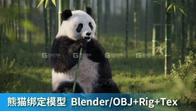 熊猫动画3D模型 VFX Grace – Panda Animation