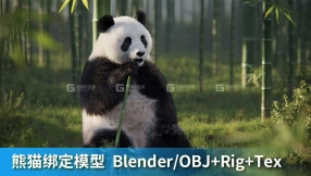 熊猫动画3D模型 VFX Grace – Panda Animation