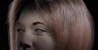 Blender头发毛发模拟教程 Blender Hair & Fur Complete Workflow