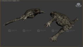 两栖动物-Amphibians 3D model-14-0