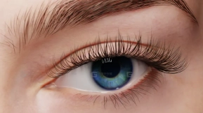睫毛模型  Eyelash Pack (ZBrush)