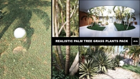 【UE】逼真的棕榈树草地植物  Realistic PALM TREE GRASS PLANTS