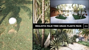【UE】逼真的棕榈树草地植物  Realistic PALM TREE GRASS PLANTS