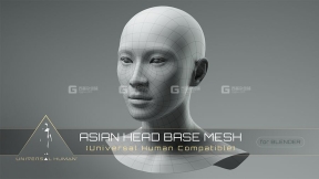 Blender标准布线亚洲男性头部3D模型 Universal Human Asian Head Base Mesh v2.1
