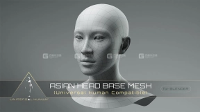 Blender标准布线亚洲男性头部3D模型 Universal Human Asian Head Base Mesh v2.1