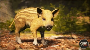 【UE】动物王国 - 野猪（幼崽）  Animalia - Wild Boar (young)