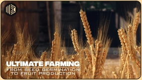 【UE】终极农场 Ultimate Farming