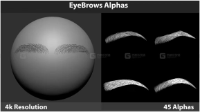 45个男女眉毛Alpha贴图