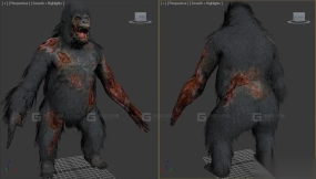 大猩猩-Gorilla 3D model-16-0