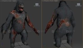 大猩猩-Gorilla 3D model-16-0