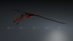 鸟掌翼龙 Ornithocheirus 0