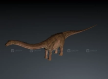 Diplodocus - 梁龙