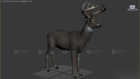 使命召唤中的鹿 Deer from cod 27
