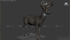 使命召唤中的鹿 Deer from cod 27