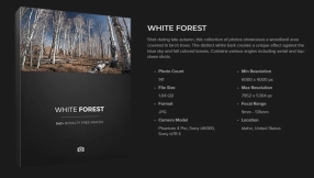 白森林  WHITE FOREST