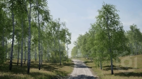 【UE】树木 白桦树  Trees  Birch Tree