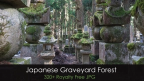 日本墓地森林（高野山）——照片参考素材包  Japanese Graveyard Forest (Kōya-san) – photo reference pack