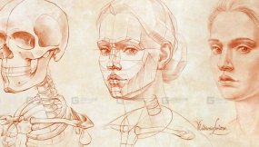 解剖大师课——面向艺术家的解剖学  Anatomy Master Class – Anatomy for Artists