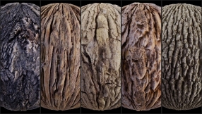 100组树皮PBR贴图 100 Bark Texture