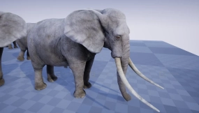 【UE】大象  ELEPHANT
