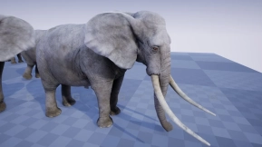 【UE】大象  ELEPHANT