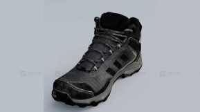 阿迪达斯Terrex扫描鞋 - Adidas Terrex Scanned Shoe