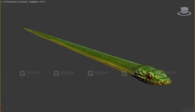 蛇-Snake 3D model-13-0