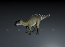 Muttaburrasaurus - 木他龙