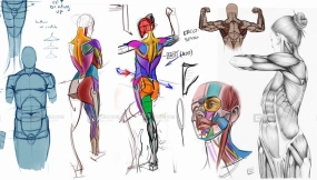 人体结构解剖绘画教程 CGMA – Analytical Figure Drawing with Ron Lemen