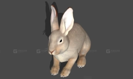 黛西（《毁灭战士：永恒》） Daisy (Doom Eternal) 25